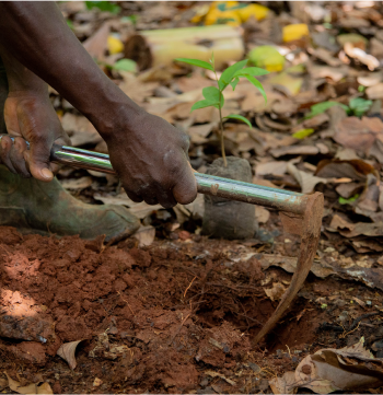 hand plowing