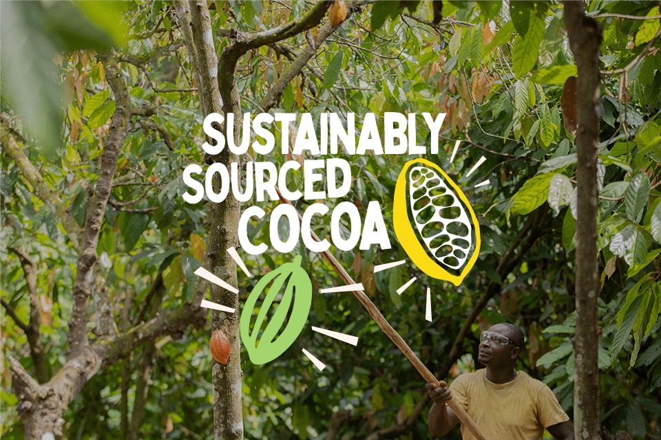 Bild mit Text: Sustainably Sourced Cocoa