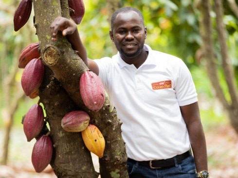 Man and Cocoa Tree